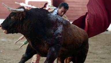  Muere torero español Iván Fandiño por una cornada de un toro