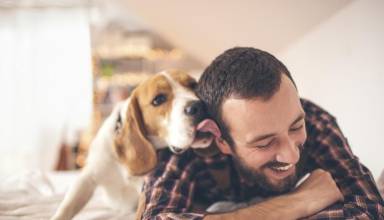  10 formas que tus mascotas te ayudan a mejorar tu salud