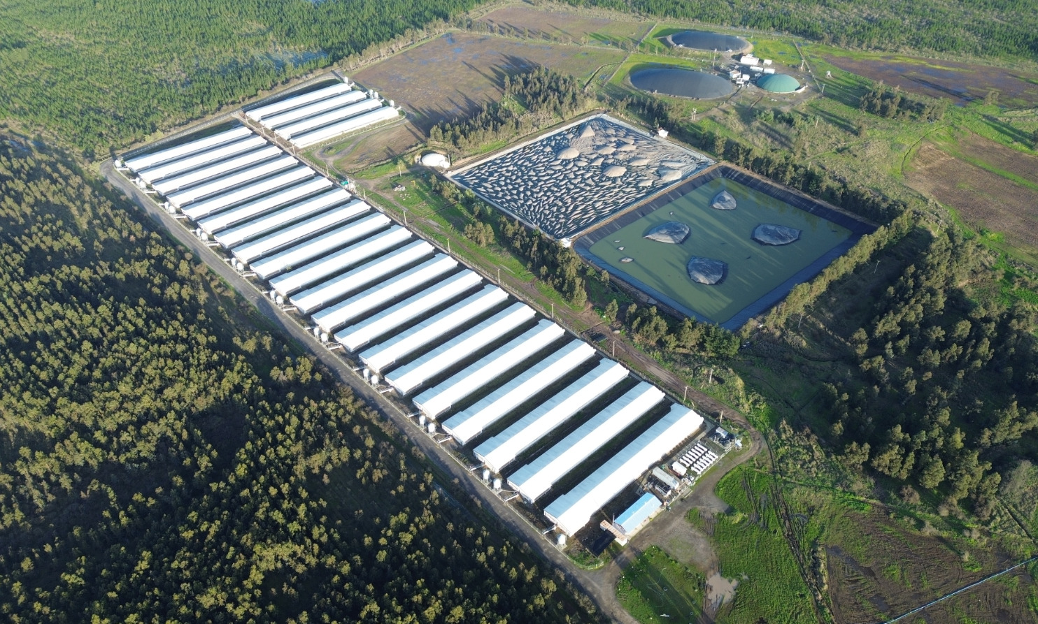 SMA sanciona con $556 millones a Agrícola y Ganadera Chillán Viejo S.A.