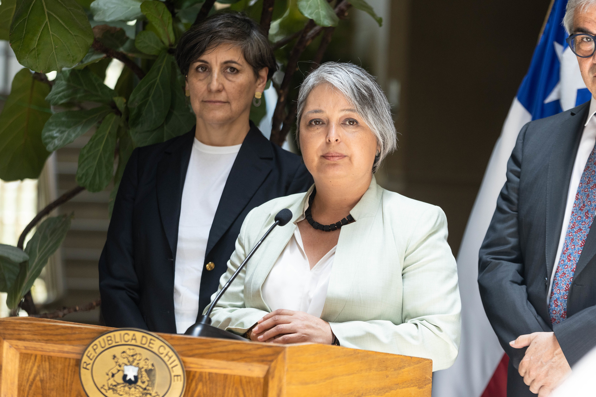 Gobierno en suspenso sobre veto que repondría el voto voluntario en elecciones de octubre