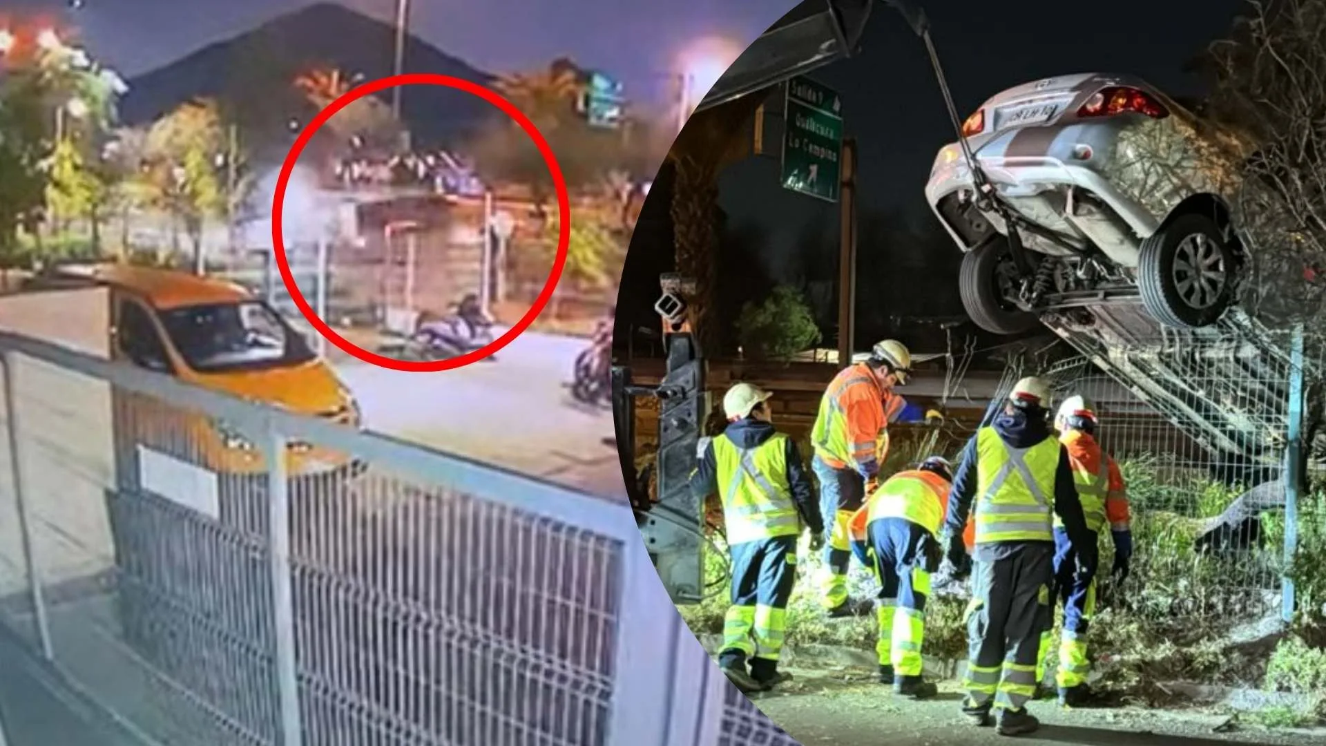 Conductor quedó arriba de un árbol tras temor de sufrir robo de su vehículo en Quilicura