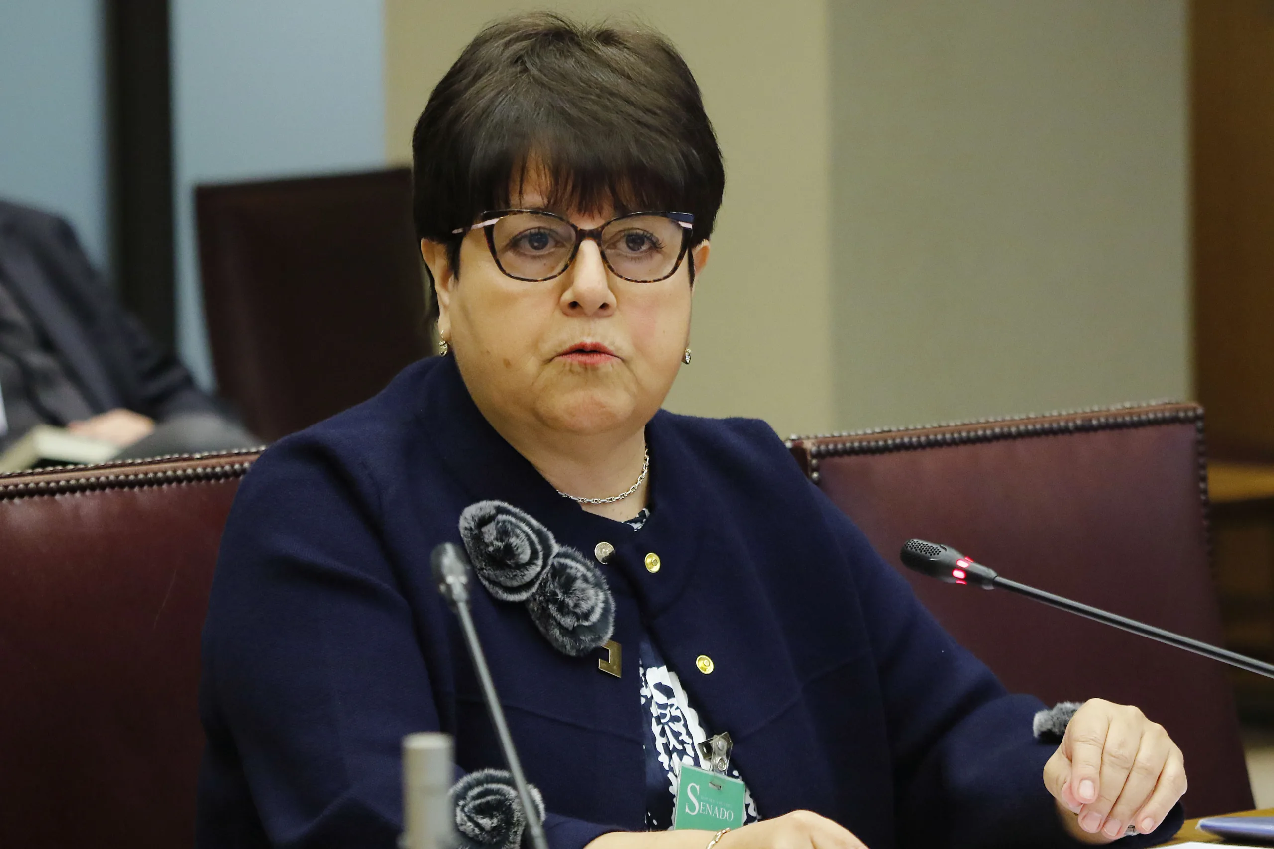 Vocera de la Corte Suprema aborda posibles revelaciones en el «caso Hermosilla» y prepara al tribunal para enfrentar nuevos antecedentes