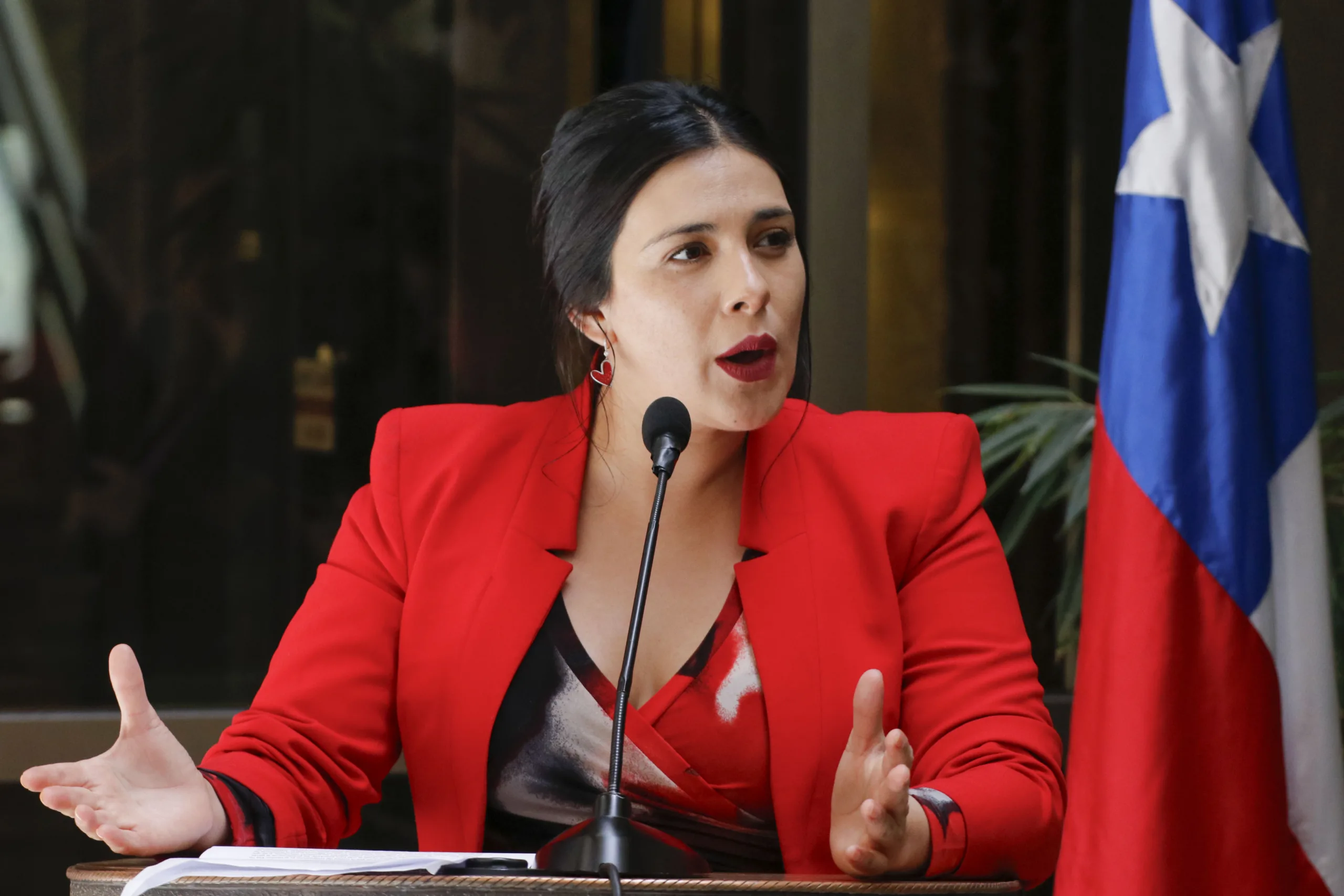 Diputada Karol Cariola denuncia ante la CIDH “allanamiento vejatorio” tras dar a luz